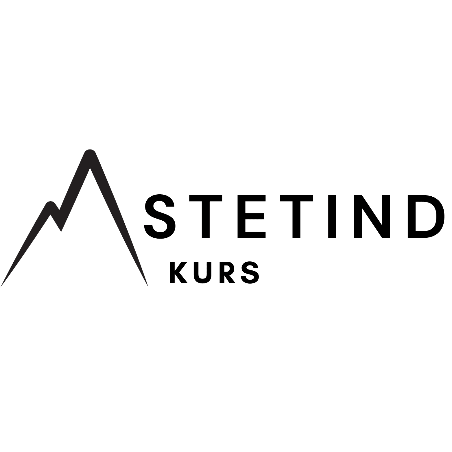 Stetind Prosjekt AS logo